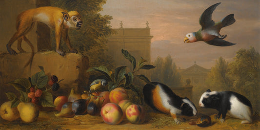 Landscape with a Capuchin Squirrel Monkey, Two Guinea Pigs, a Blue Tit and an Amazon Parrot, vintage artwork by Jakob Bogdány, 12x8" (A4) Poster