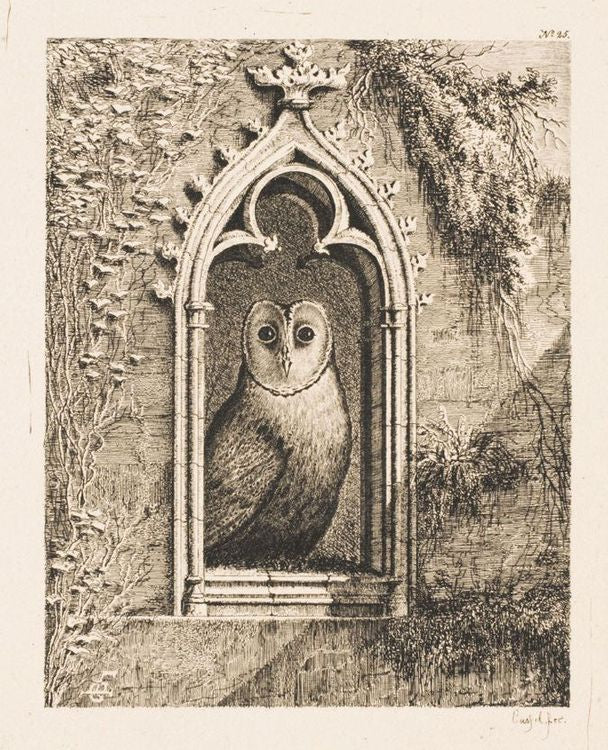A Barn Owl in a Gothic Window, vintage artwork by Ludwig Emil Grimm, A3 (16x12") Poster Print