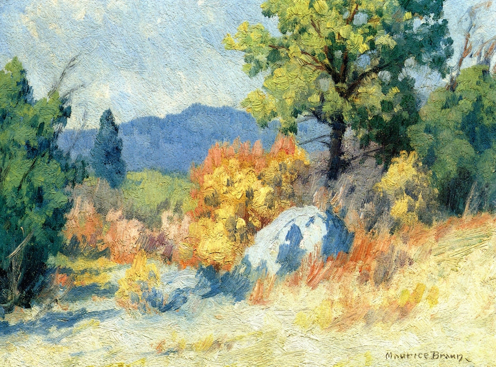 Palomar Shetch, vintage artwork by Maurice Braun, 12x8" (A4) Poster