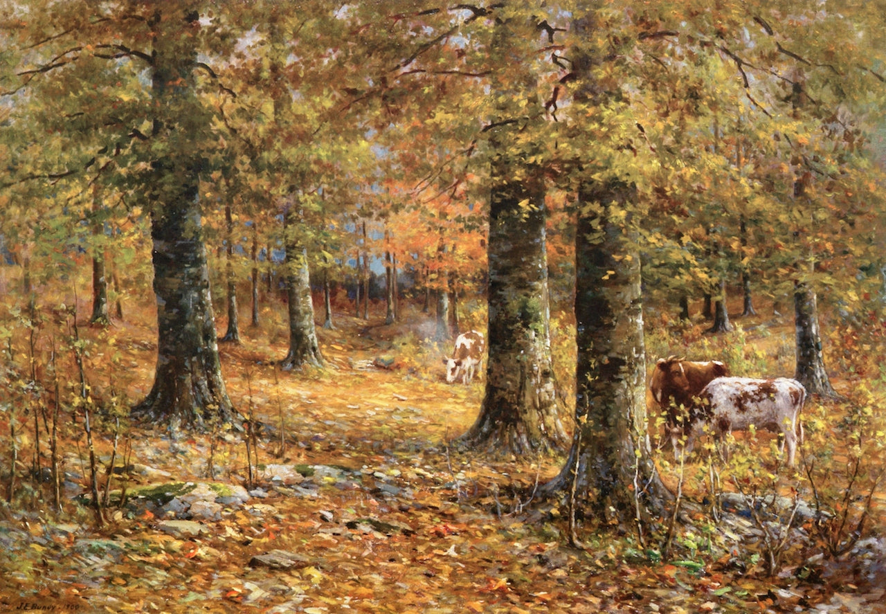Jersey Cows by John Elwood Bundy,A3(16x12")Poster