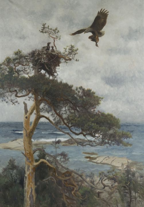 Sea Eagle with Prey Returning to the Nest, vintage artwork by Bruno Liljefors, 12x8" (A4) Poster