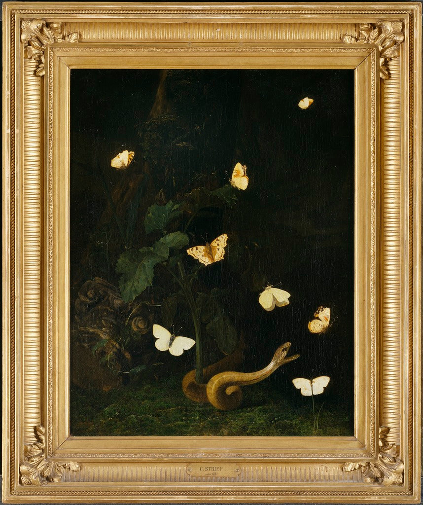 Herbs, Butterflies and a Serpent, vintage artwork by Christiaen Striep, 12x8" (A4) Poster