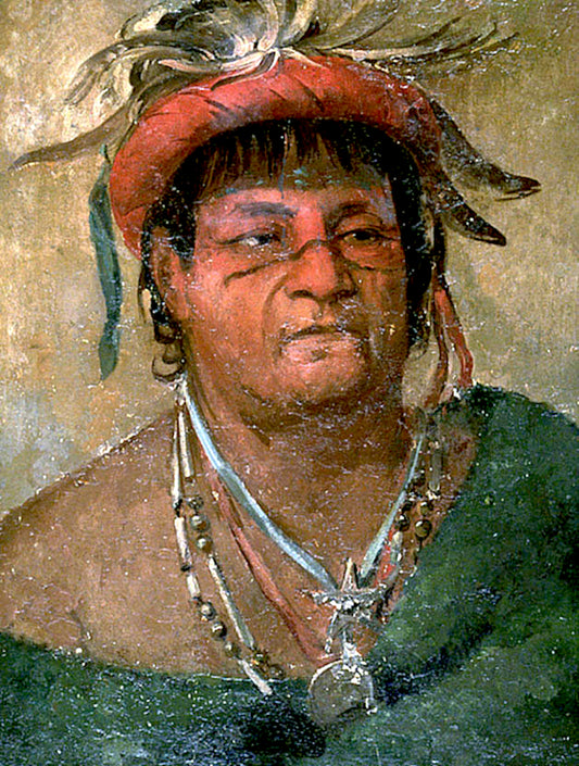 Aúh-ka-nah-paw-wáh, Earth Standing, an Old and Valiant Warrior, vintage artwork by George Catlin, A3 (16x12") Poster Print