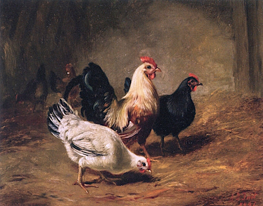 Rooster, vintage artwork by Arthur Fitzwilliam Tait, A3 (16x12") Poster Print