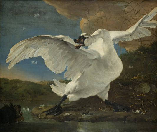 The Threatened Swan, vintage artwork by Jan Asselijn, 12x8" (A4) Poster