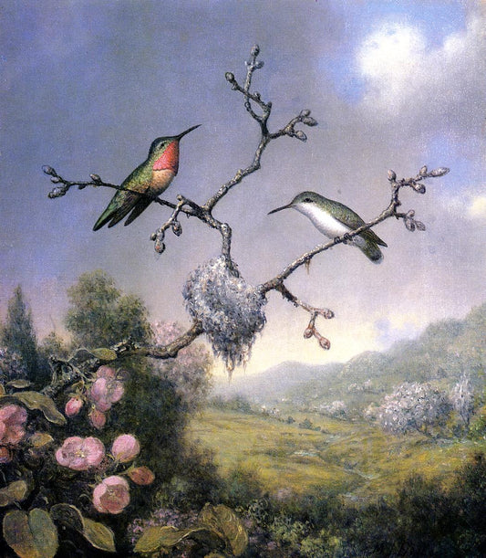 Hummingbirds and Apple Blossoms, vintage artwork by Martin Johnson Heade, A3 (16x12") Poster Print