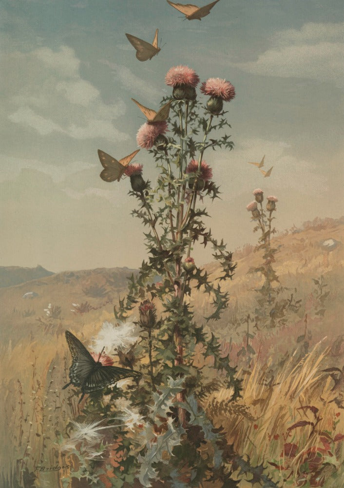 Thistle and Landscape, vintage artwork by Fidelia Bridges, 12x8" (A4) Poster