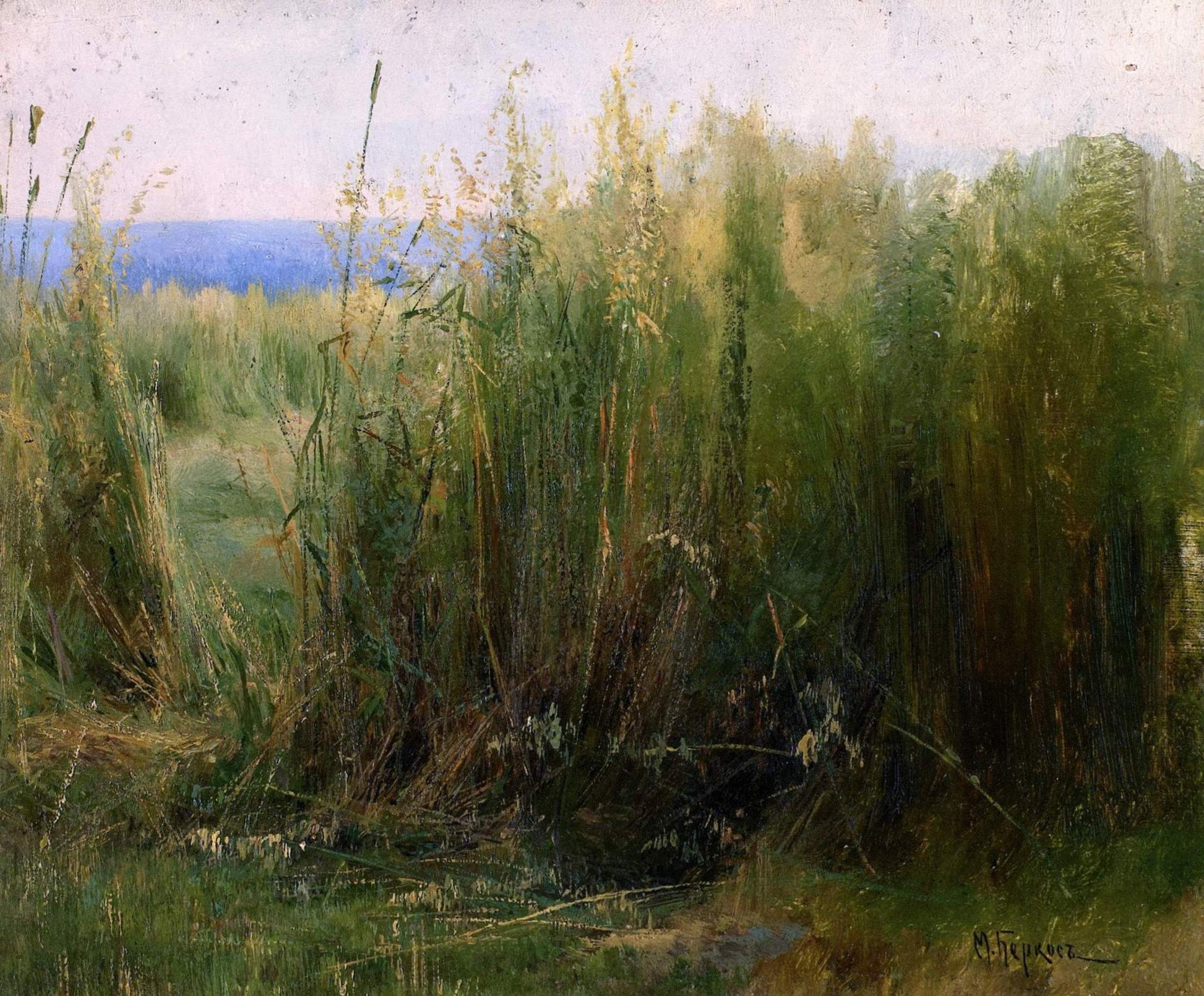 Flax by Mikhail Berkos,A3(16x12")Poster