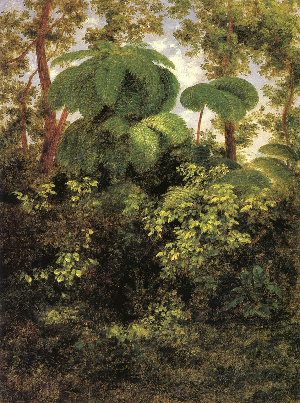 Bosque de Pacho, vintage artwork by Jose María Velasco, 12x8" (A4) Poster