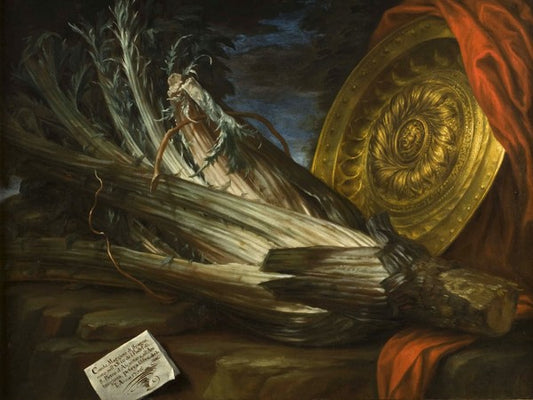 Cardo maggiore di Spagna dei padri di San Pietro d'Alcantara, vintage artwork by Bartolomeo Bimbi, 12x8" (A4) Poster