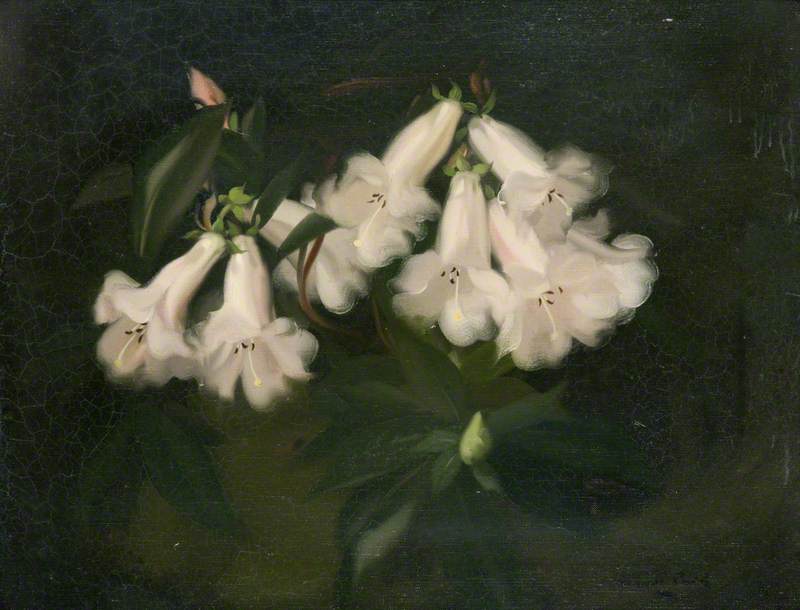 Orchids by James Stuart Park,A3(16x12")Poster