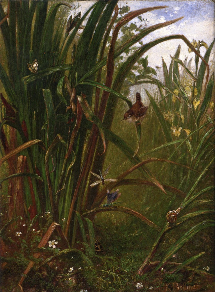 Marsh Interior, vintage artwork by Karl Bodmer, A3 (16x12") Poster Print