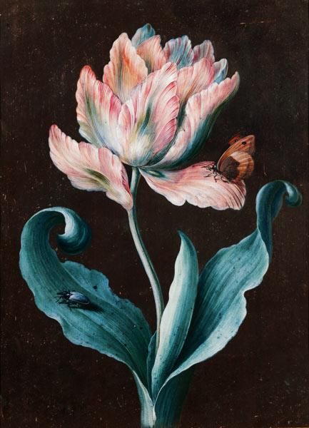 Parrot Tulip with Butterfly and Beetle, vintage artwork by Barbara Regina  Dietzsch, 12x8" (A4) Poster