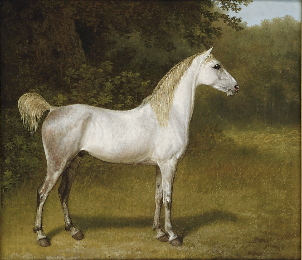 An Arab stallion in a landscape, vintage artwork by Jacques-Laurent Agasse, 12x8" (A4) Poster