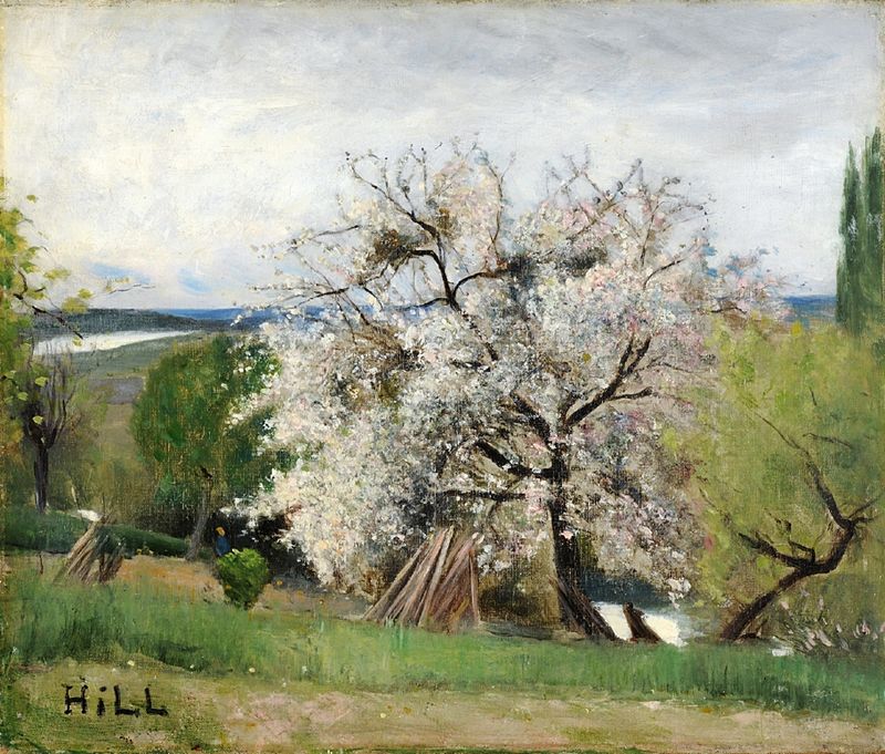 Fruit Tree in Blossom, Bois-le-Roi, vintage artwork by Carl Fredrik Hill, 12x8" (A4) Poster