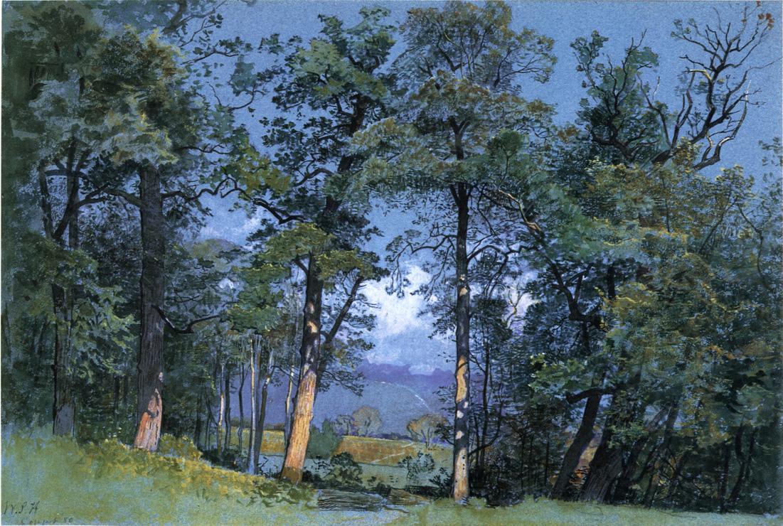 Coppet, Lake Geneva, vintage artwork by William Stanley Haseltine, 12x8" (A4) Poster