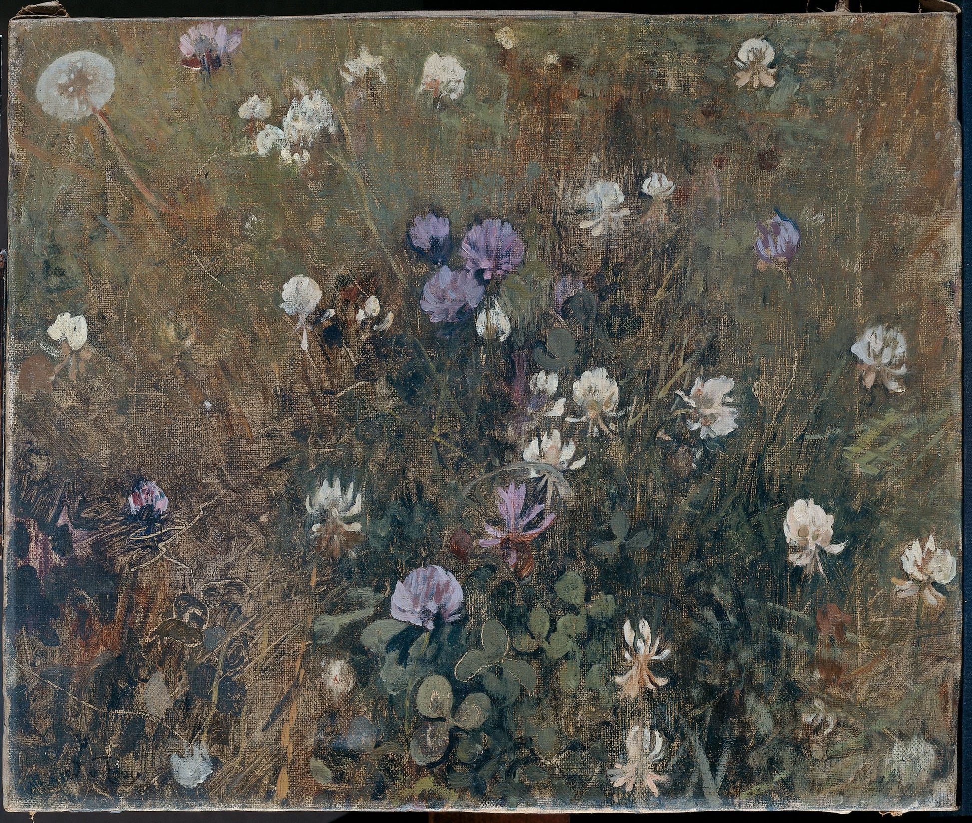 Clover by Jacobus van Looy,A3(16x12")Poster