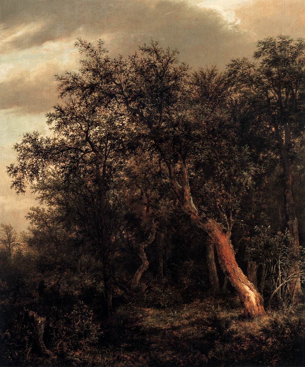 Glade in a Wood, vintage artwork by Jacob van Ruisdael, 12x8" (A4) Poster