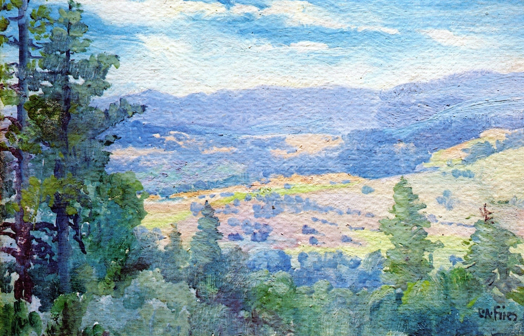 View from My Tent on Pine Hills by Charles A. Fries,A3(16x12")Poster