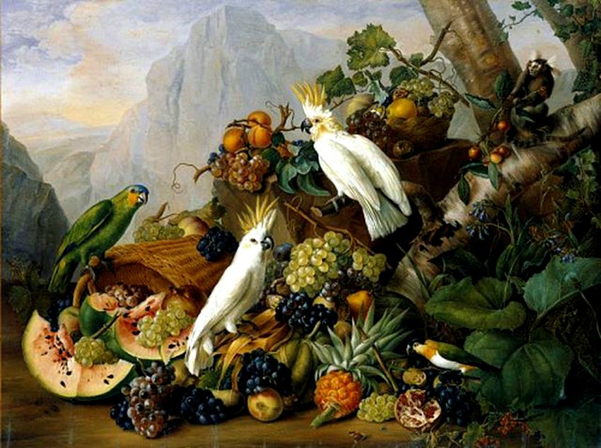 Still Life with Fruit and Parrots, vintage artwork by Franz Xavier Petter, A3 (16x12") Poster Print