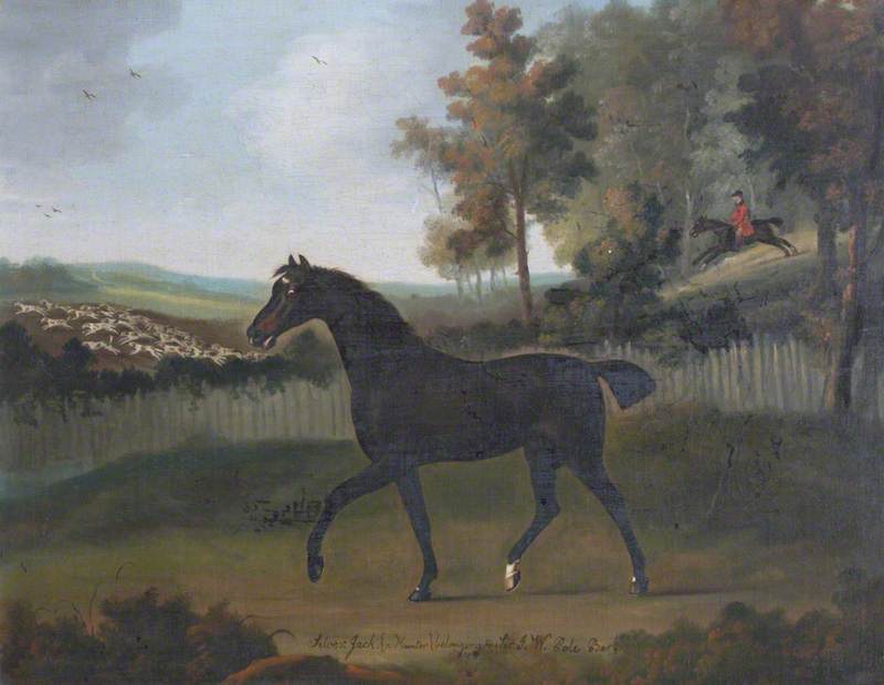 Silver Jack (a Hunter), Belonging to Sir John William De la Pole, vintage artwork by Francis Sartorius, 12x8" (A4) Poster