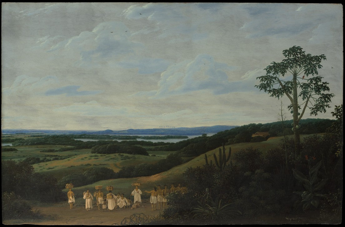 A Brazilian Landscape, vintage artwork by Frans Post, 12x8" (A4) Poster