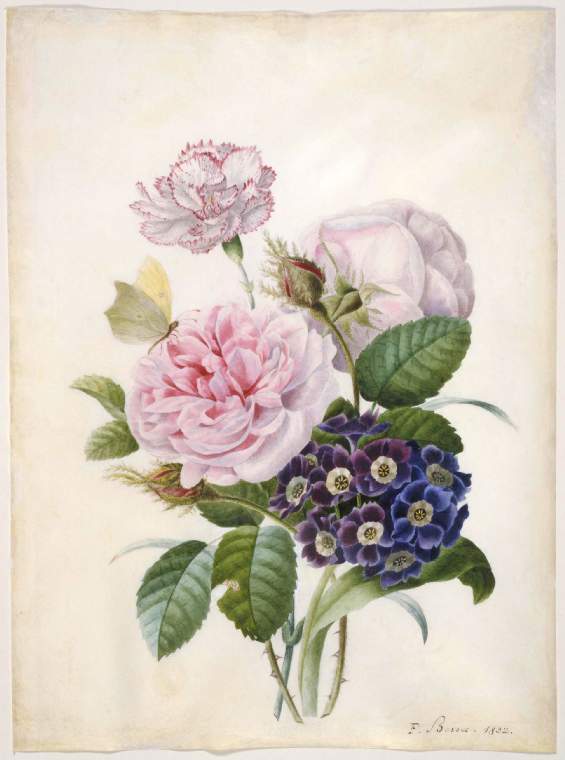 A bunch of Roses, Carnations and Auricula with bufferflys, vintage artwork by Pancrace Bessa, 12x8" (A4) Poster