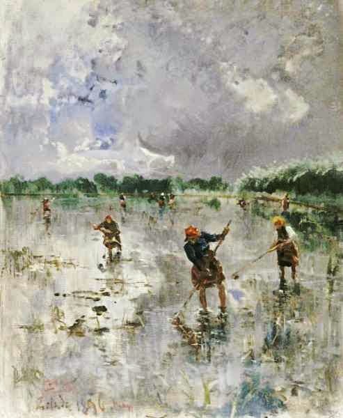 Women Working In Rice Fields by Pompeo Mariani,A3(16x12")Poster