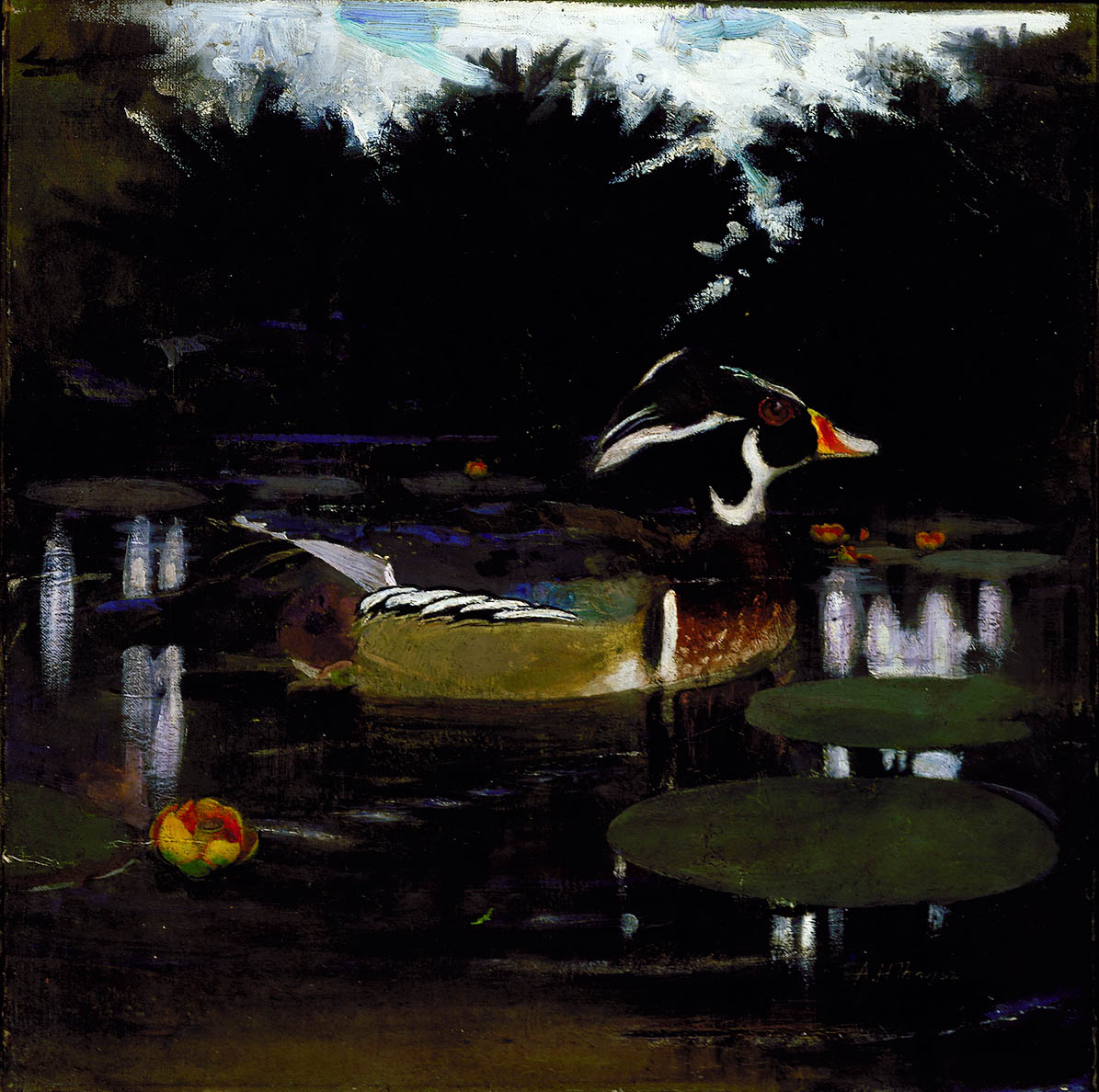 Male Wood Duck in a Forest Pool, vintage artwork by Abbott Handerson Thayer, 12x8" (A4) Poster