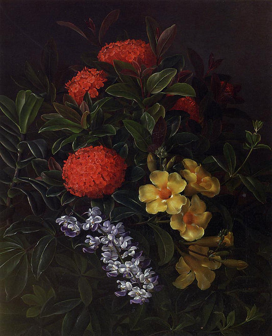 Allemanda, Ixora and Orchids, vintage artwork by Johan Laurentz (J.L.) Jensen, A3 (16x12") Poster Print