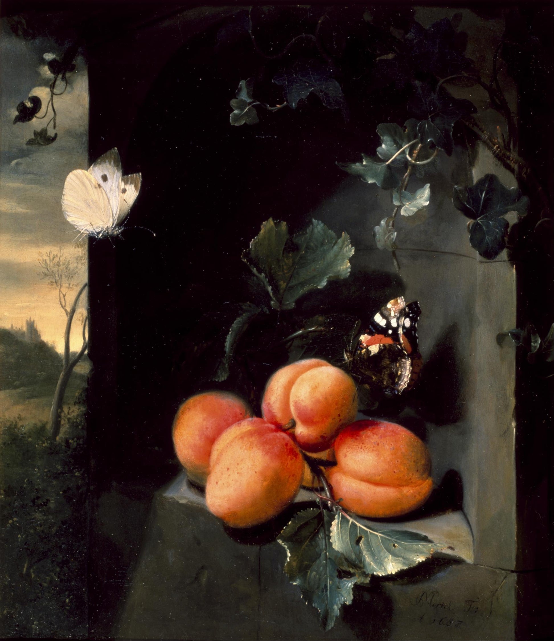 Still Life with Apricotes and Butterflies, vintage artwork by Jan Mortel, 12x8" (A4) Poster