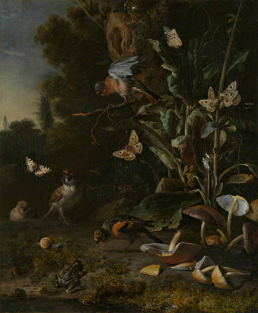 Birds, Butterflies, a Frog among Plants and Fungi, vintage artwork by Melchior d'Hondecoeter, 12x8" (A4) Poster