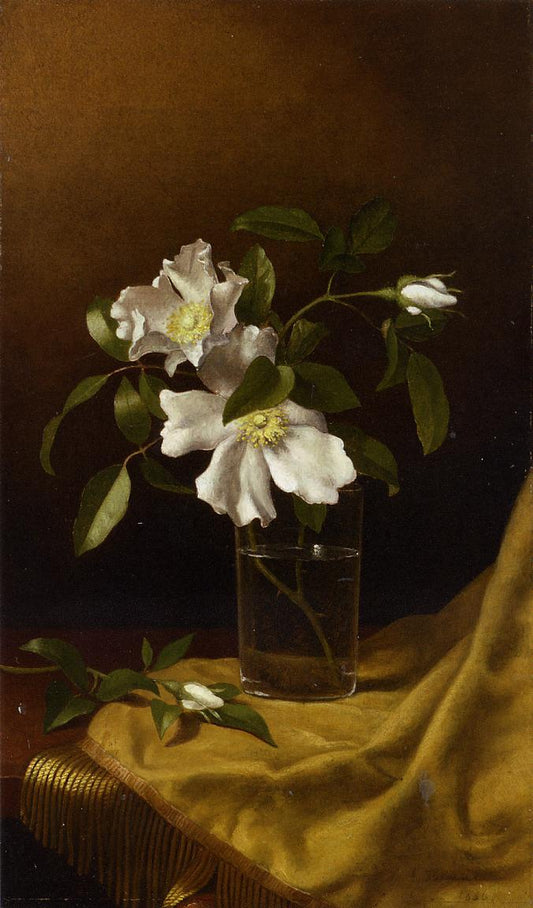 Cherokee Roses in a Glass on Gold Velvet Plush, vintage artwork by Martin Johnson Heade, A3 (16x12") Poster Print