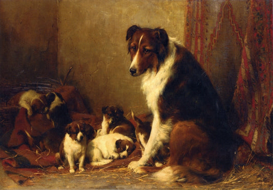 A Collie and Her Puppies, vintage artwork by Otto Eerelman, 12x8" (A4) Poster