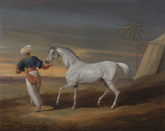 Signal, a Grey Arab, with a Groom in the Desert, vintage artwork by David Dalby , A3 (16x12") Poster Print