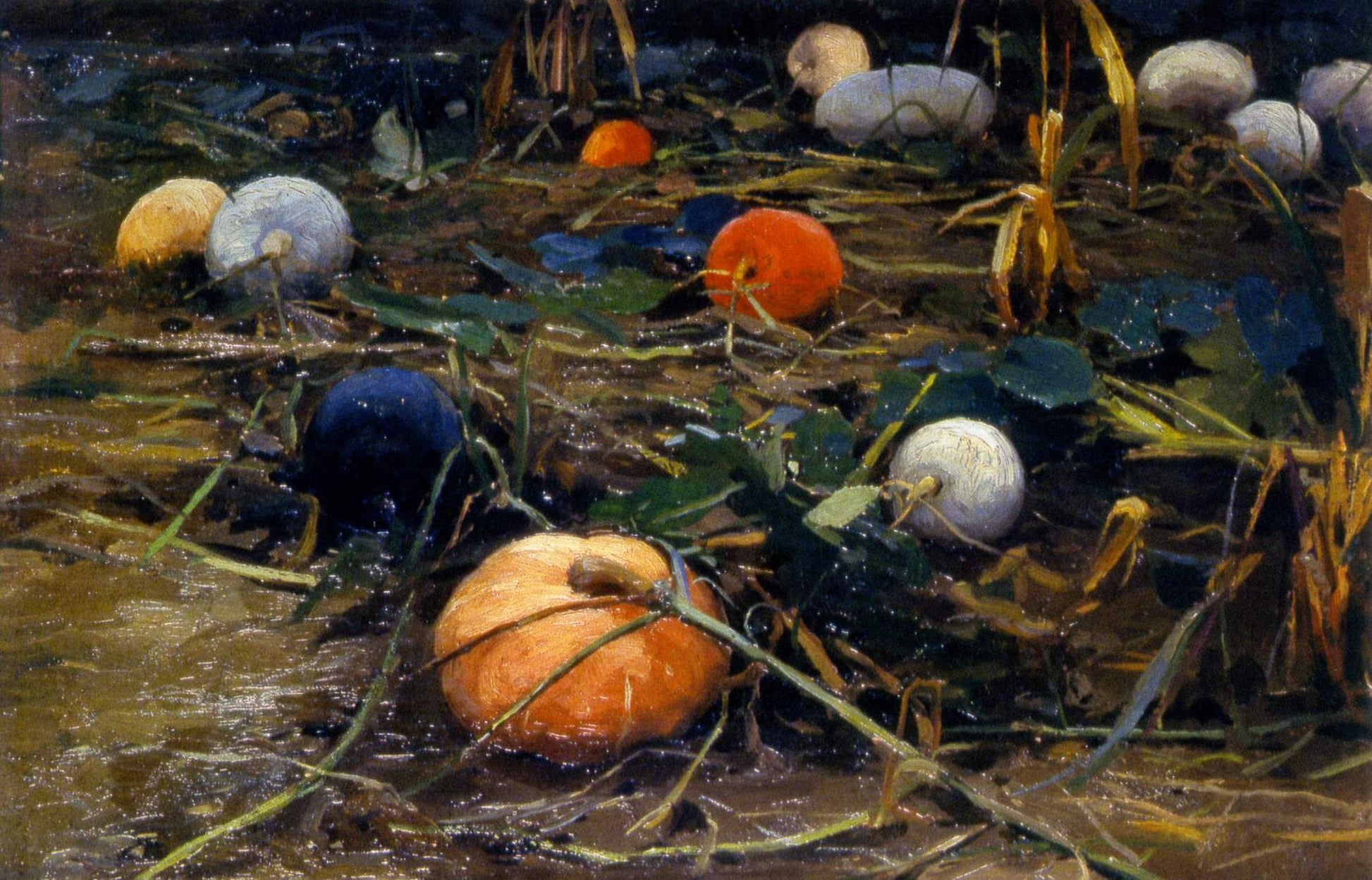 Pumpkins by Nikolai Pimonenko,A3(16x12")Poster