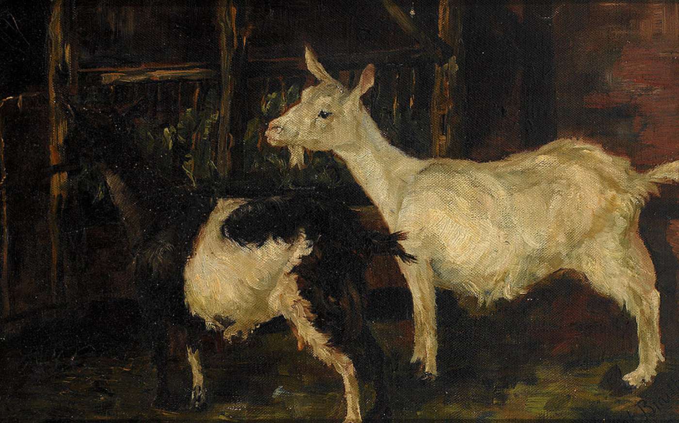 Two Goats in the Barn, vintage artwork by Anton Braith, 12x8" (A4) Poster