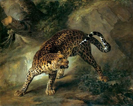 Leopard, vintage artwork by Jean-Baptiste Oudry, 12x8" (A4) Poster