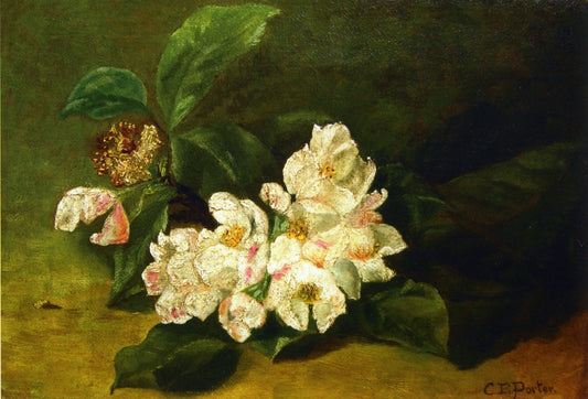 Apple Blossoms on a Ledge, vintage artwork by Charles Ethan Porter, 12x8" (A4) Poster