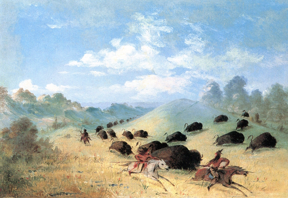 Comanche Indians Chasing Buffalo with Lances and Bows, vintage artwork by George Catlin, A3 (16x12") Poster Print