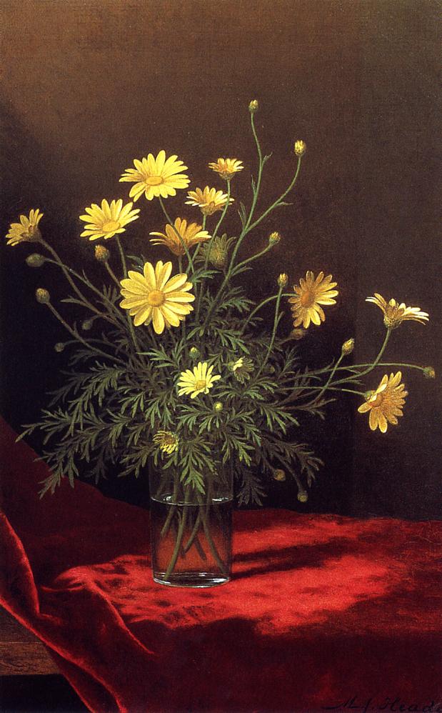 Golden Marguerites, vintage artwork by Martin Johnson Heade, A3 (16x12") Poster Print