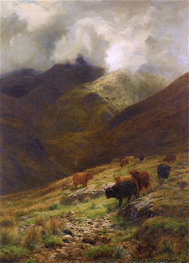  the Gathering Mists, Highland Cattle by Louis Bosworth Hurt,A3(16x12")Poster