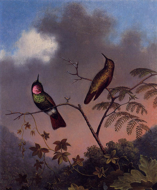 Brazilian Ruby  Hummingbirds, vintage artwork by Martin Johnson Heade, A3 (16x12") Poster Print