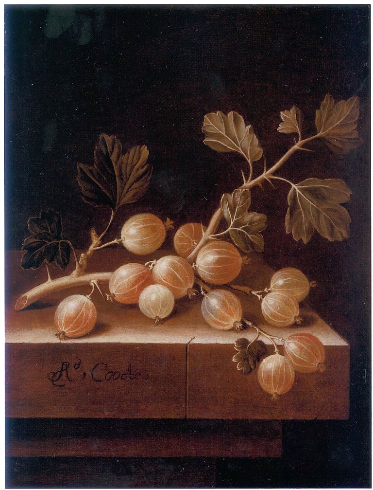 Gooseberries, vintage artwork by Adriaen Coorte, 12x8" (A4) Poster