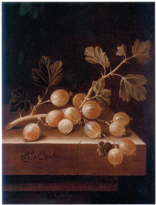 Gooseberries, vintage artwork by Adriaen Coorte, 12x8" (A4) Poster