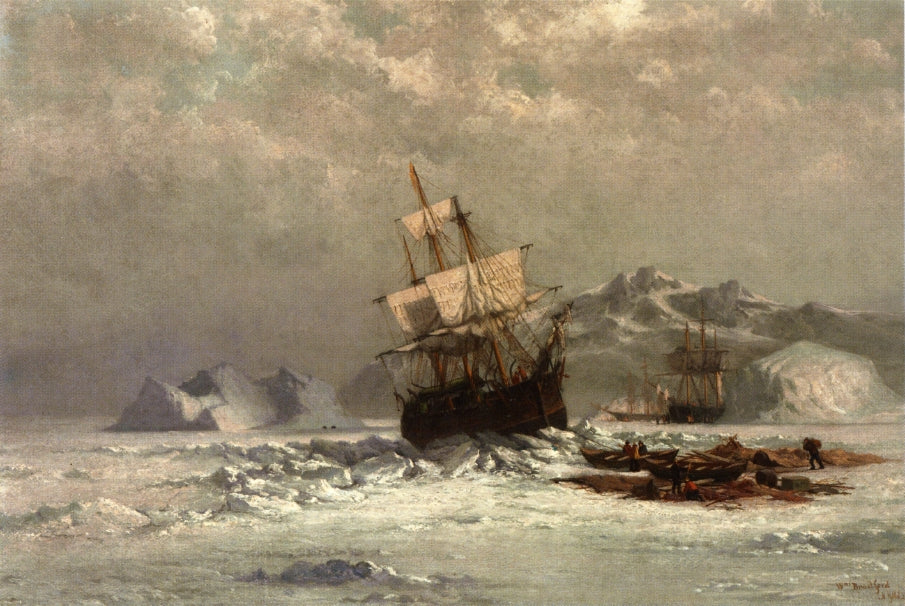 Locked in Ice, vintage artwork by William Bradford, 12x8" (A4) Poster