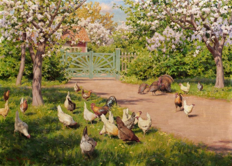 Chickens and turkeys in the garden by Johan Krouthen,A3(16x12")Poster