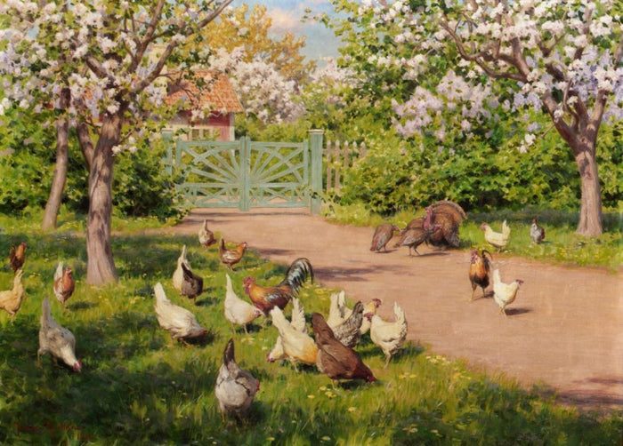 Chickens and turkeys in the garden by Johan Krouthen,A3(16x12