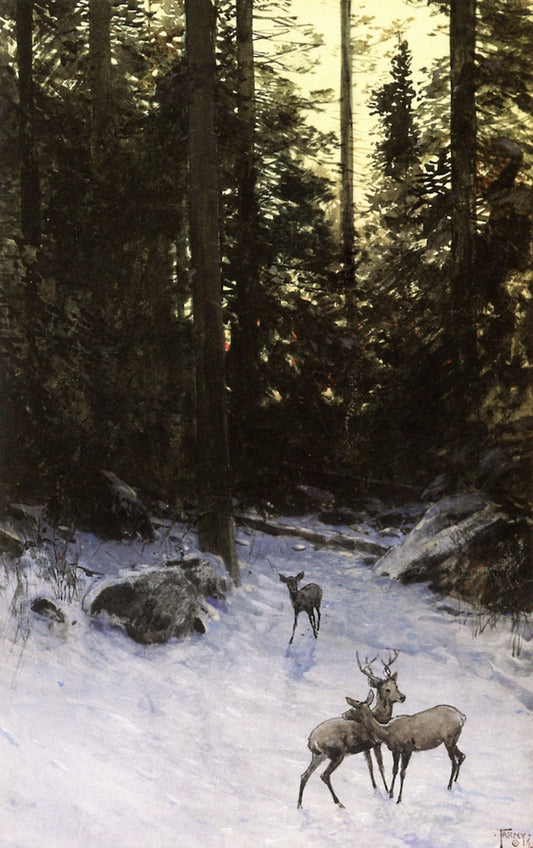 Deer in the Forest, vintage artwork by Henry F. Farny, 12x8" (A4) Poster