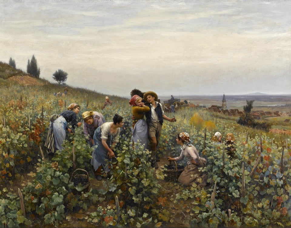 Grape Harvest, vintage artwork by Daniel Ridgway Knight, 12x8" (A4) Poster